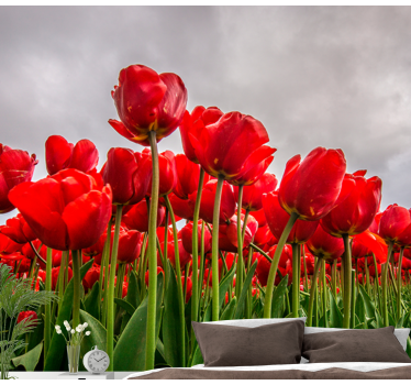 Fotomural de amapolas campo de tulipanes rojos - TenVinilo