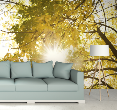 Papel pintado paisaje bosque destello solar - TenVinilo