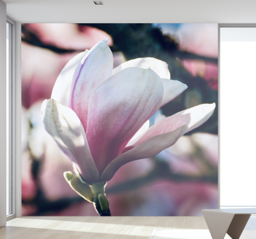 Fotomural de orquídeas en suave flor rosa - TenVinilo