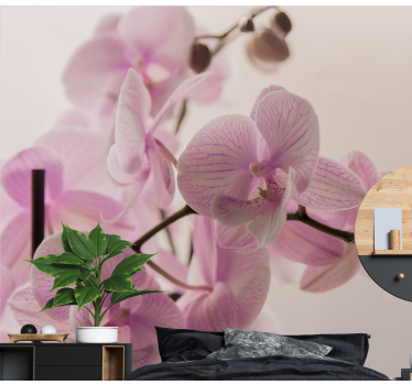 Fotomural de orquídeas flores de orquídeas delicadas - TenVinilo