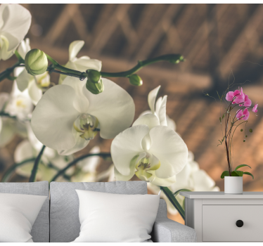 Fotomural de orquídeas flores de orquídeas elegantes - TenVinilo