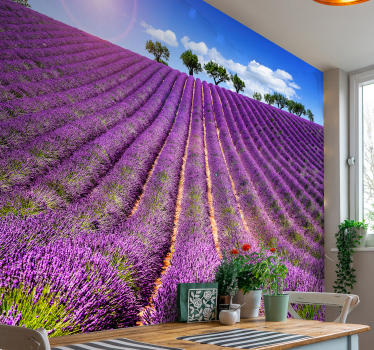 Fotomural de flores campo de lavanda - TenVinilo