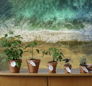 Fotomural naturaleza arreglo de plantas costeras - TenVinilo