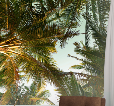 Fotomural naturaleza dosel de palmeras tropicales - TenVinilo