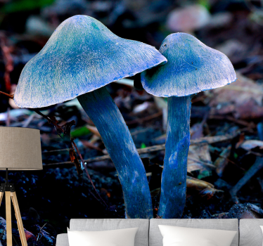 Fotomural naturaleza formas Únicas de hongos - TenVinilo