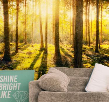 Fotomural naturaleza paisaje de bosque bañado por el sol - TenVinilo