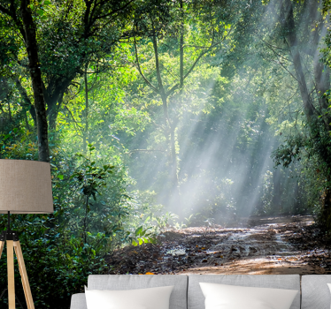 Fotomural naturaleza sendero del bosque luminoso - TenVinilo