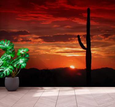 Fotomural naturaleza sombra del atardecer de cactus - TenVinilo