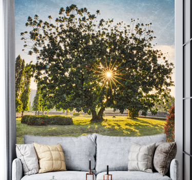 Fotomural naturaleza vista de Árbol soleado - TenVinilo