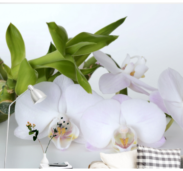 Fotomural orquídeas Orquídea verde blanca - TenVinilo