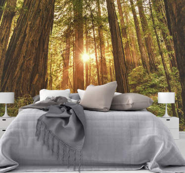 Papel pintado paisaje bosque por la mañana - TenVinilo