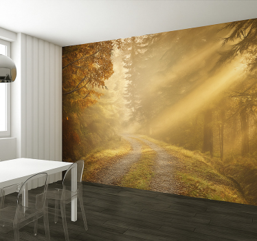 Fotomural selva bosque húmedo con luz solar - TenVinilo