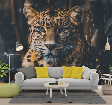 Fotomurales africanos Impresionante leopardo de vida silvestre - TenVinilo
