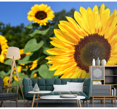 Mural de pared flores belleza de girasol - TenVinilo