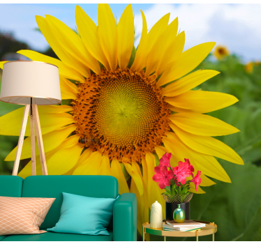 Mural de pared flores belleza en flor de girasol - TenVinilo