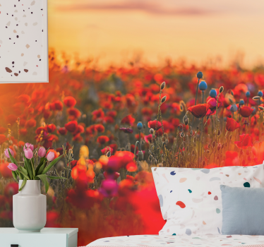 Fotomural de amapolas campo de primavera al atardecer - TenVinilo