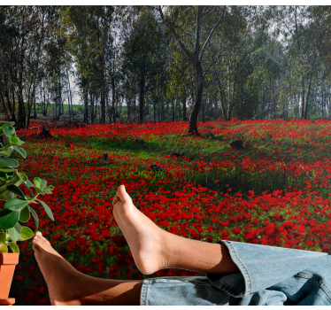 Mural de pared flores campo de amapolas sereno - TenVinilo