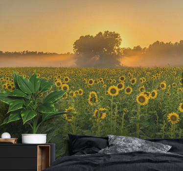 Mural de pared flores campo de girasoles al atardecer - TenVinilo
