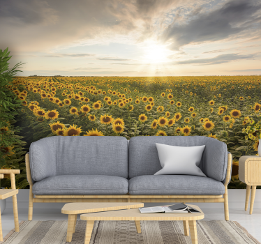 Mural de pared flores crepúsculo en un campo de girasoles - TenVinilo