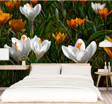 Mural de pared flores flor de crocus - TenVinilo