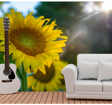 Mural de pared flores girasoles en plena floración - TenVinilo
