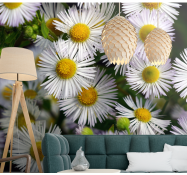 Mural de pared flores margaritas blancas encantadoras - TenVinilo