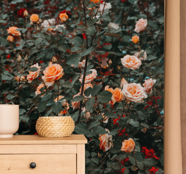 Mural de pared flores rosas en flor - TenVinilo