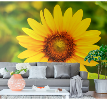 Mural de pared flores vibrante flor de girasol - TenVinilo