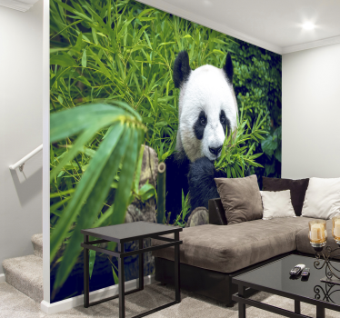 Fotomural animal de oso panda en bambú - TenVinilo