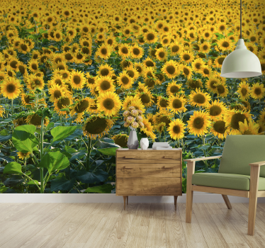 Papel mural de campo de girasoles - TenVinilo