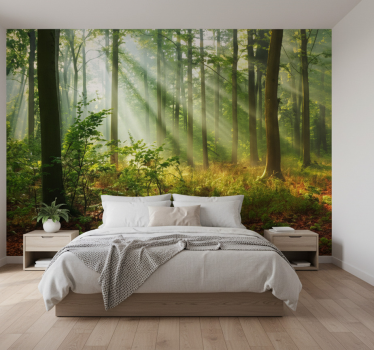 Papel pintado bosque arboleda del mañana soleado - TenVinilo