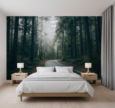 Papel pintado bosque camino de pinos nebulosos - TenVinilo