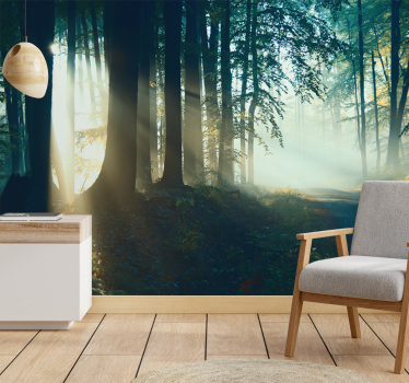 Papel pintado bosque sendero del bosque bañado por el sol - TenVinilo