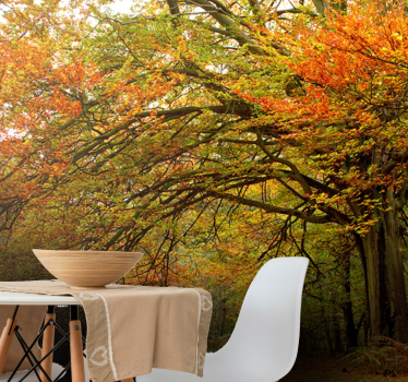 Papel pintado bosque vista del bosque en otoño - TenVinilo