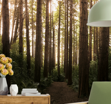 Papel pintado naturaleza Árboles altos del bosque - TenVinilo