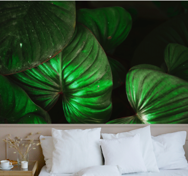 Papel pintado naturaleza hojas verdes vivas - TenVinilo