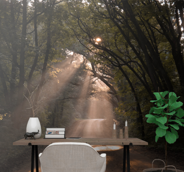 Papel pintado naturaleza sendero del bosque radiante - TenVinilo