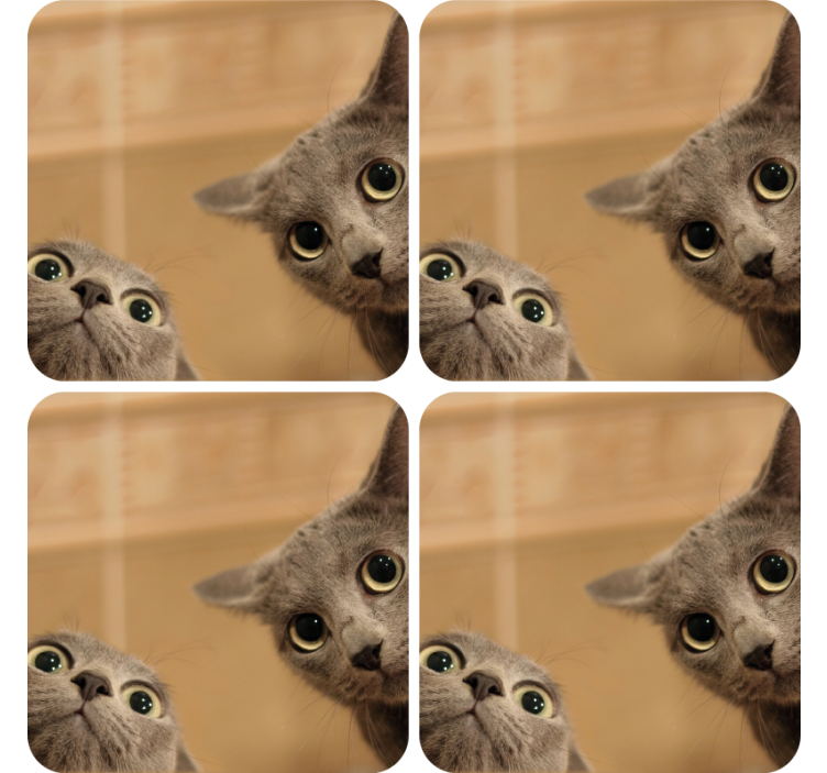 Posavasos frikis caras de gatos curiosas - TenVinilo