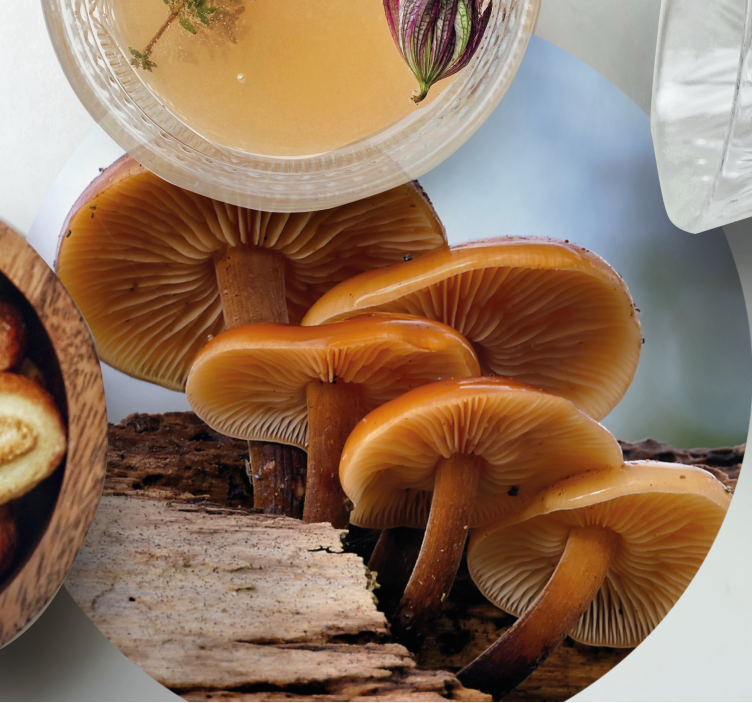 Posavasos moderno arreglo de hongos en racimo - TenVinilo