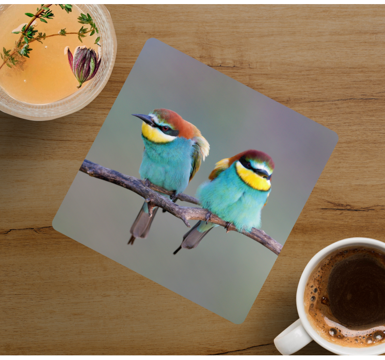 Posavasos moderno pájaros coloridos en descanso - TenVinilo