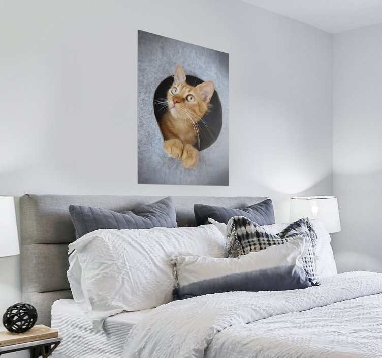 Póster decorativo gato asomado - TenVinilo