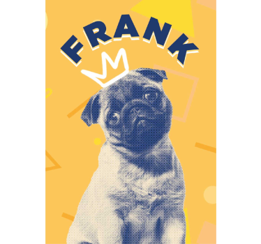Póster decorativo animales arte pop personalizado - TenVinilo