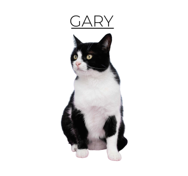 Póster animales minimalista personalizado - TenVinilo