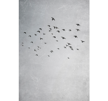 Lámina decorativa pájaros volando - TenVinilo