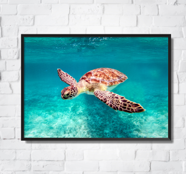 lamina decorativa animales marinos - TenVinilo