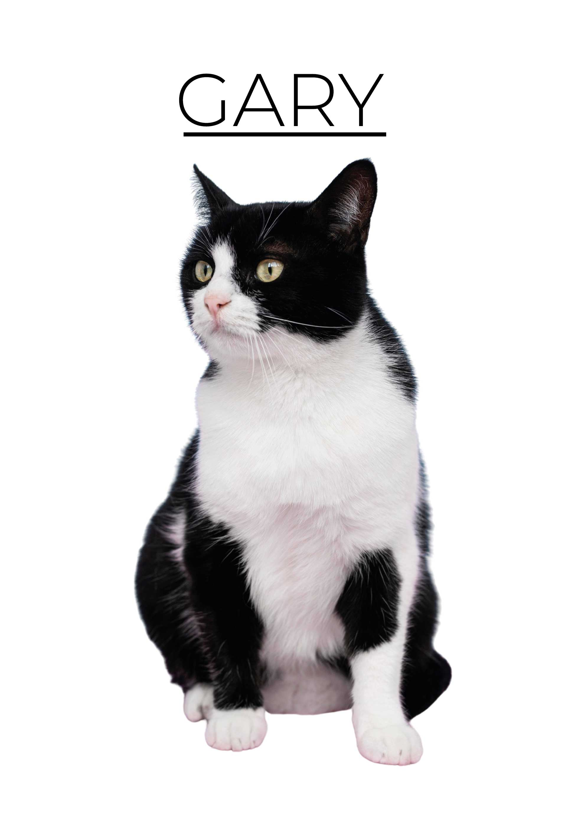 Lámina decorativa mascota minimalista personalizado - TenVinilo