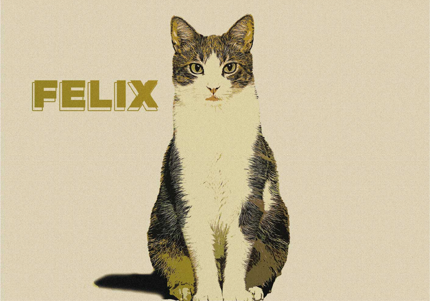 Lamina decorativa animales ilustración personalizada - TenVinilo