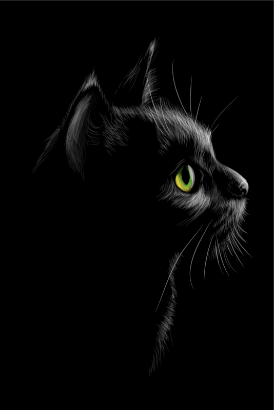 Poster para salón gatos con ojos verdes - TenVinilo