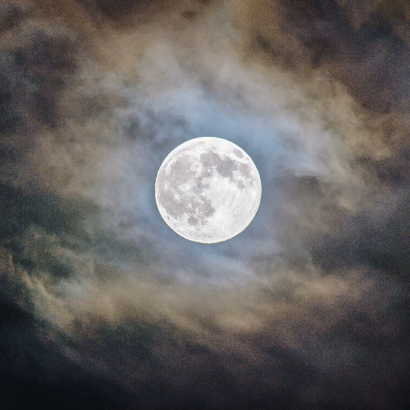 Poster para salón noche de luna llena - TenVinilo