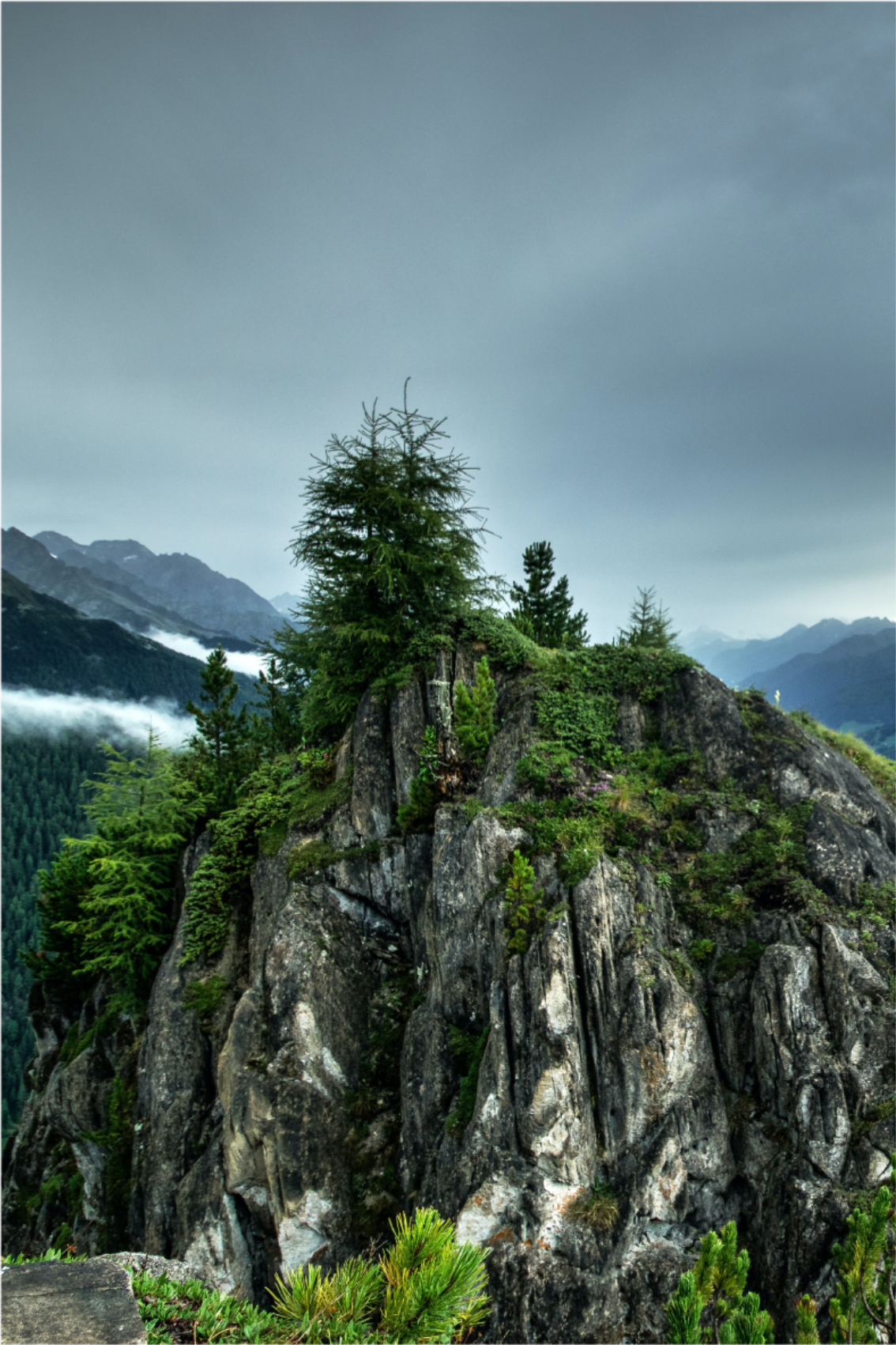 Poster para salón roca solitaria en bosque verde - TenVinilo